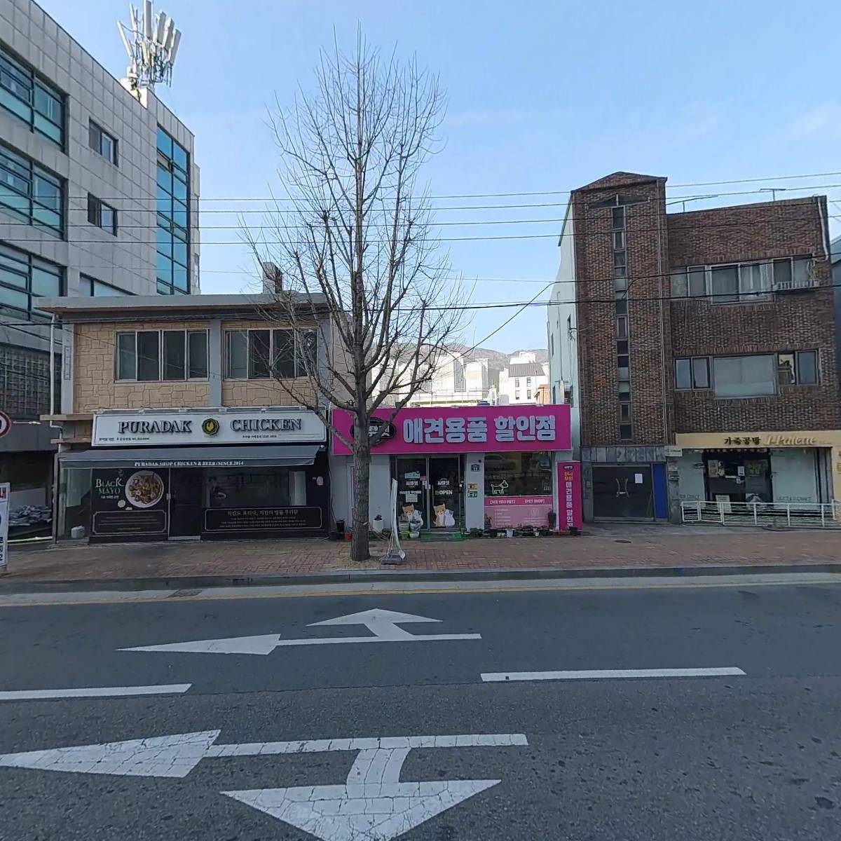 부산영화협동조합_3