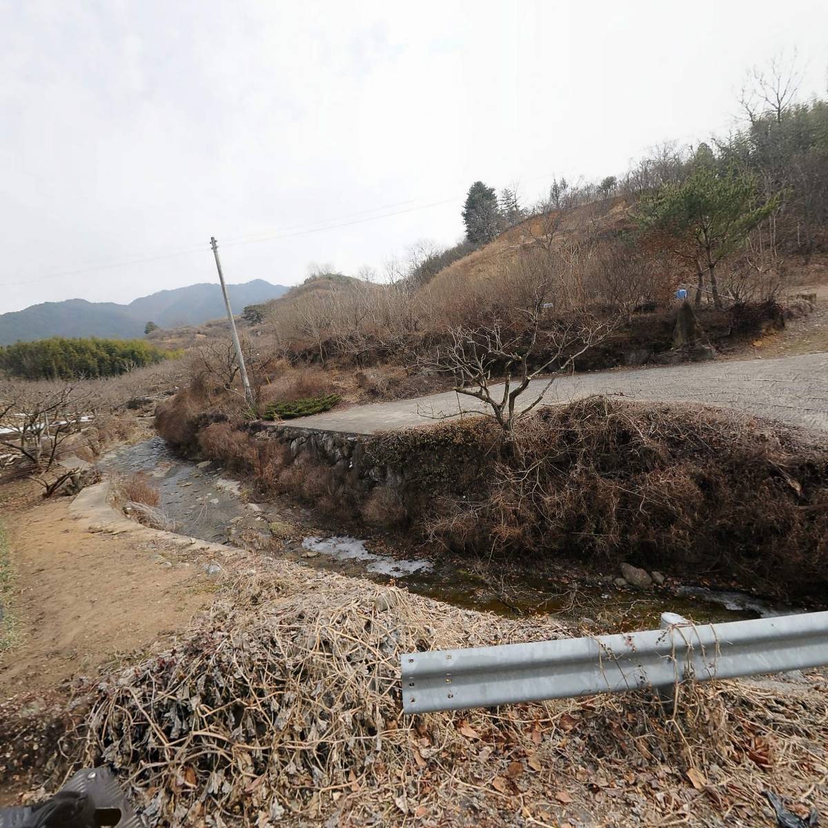 태전농원(연알천)
