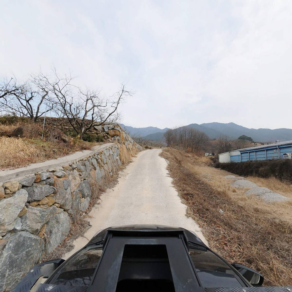 금봉차영농조합법인_4