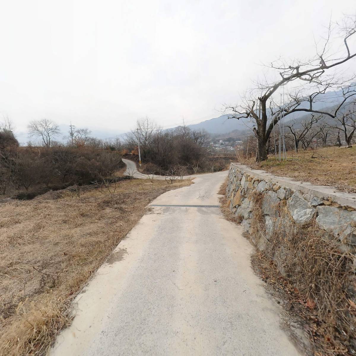 금봉차영농조합법인_2