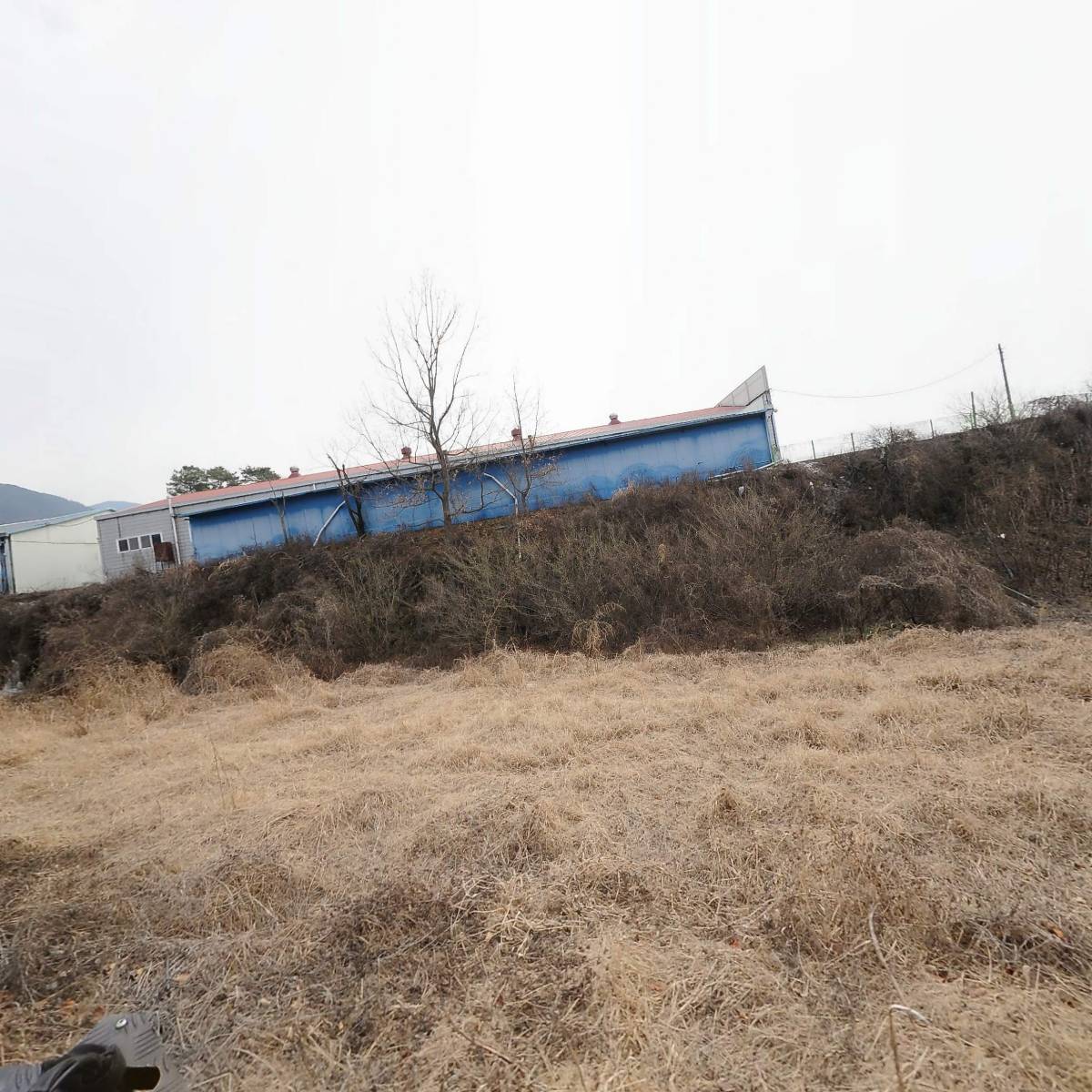 금봉차영농조합법인