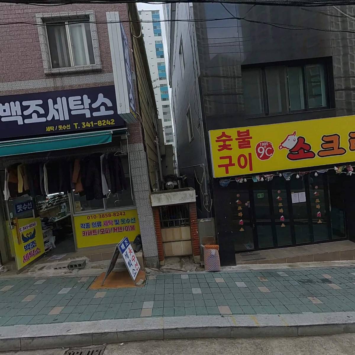 덴트리온 지르플러스 치과기공소