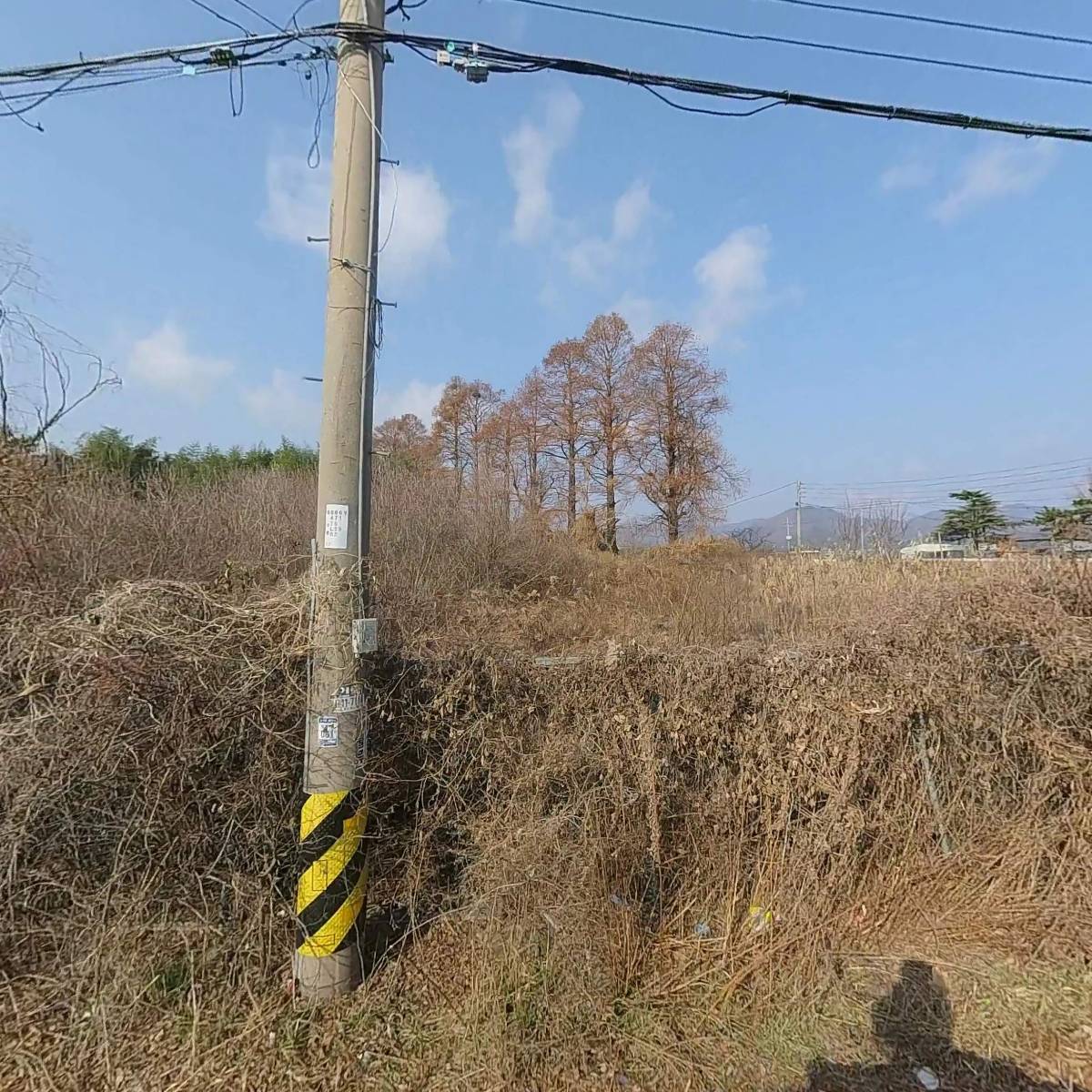 (주) 키푸디_3