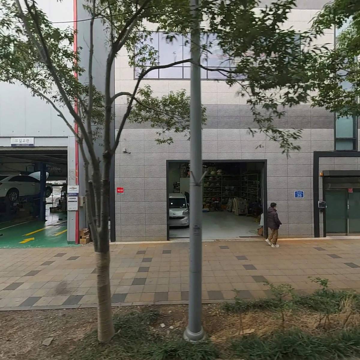 윈테코마린