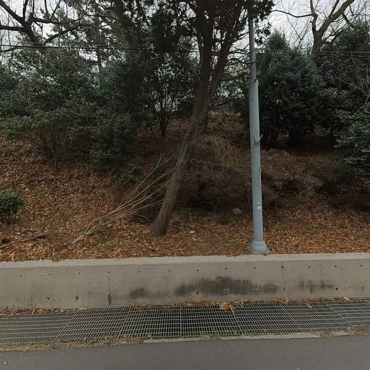 (주)일성