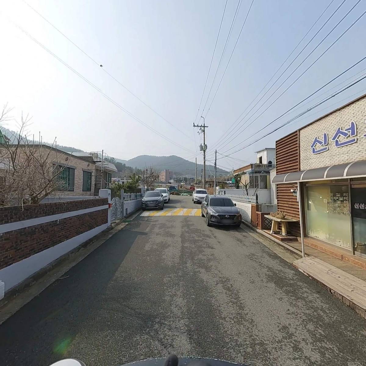 신선초김치_2