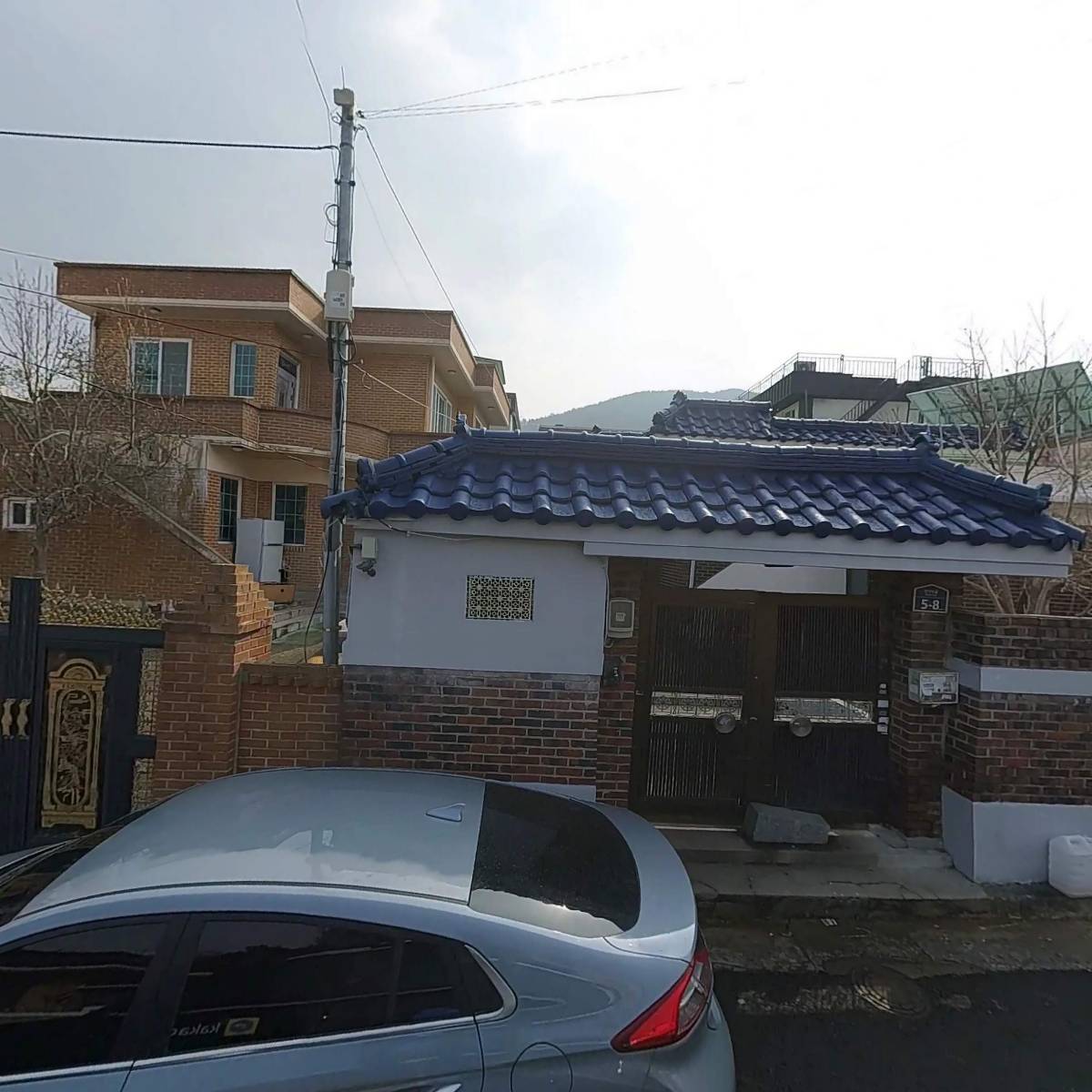신선초김치