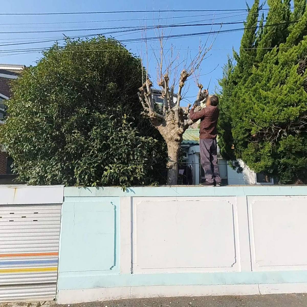 산정