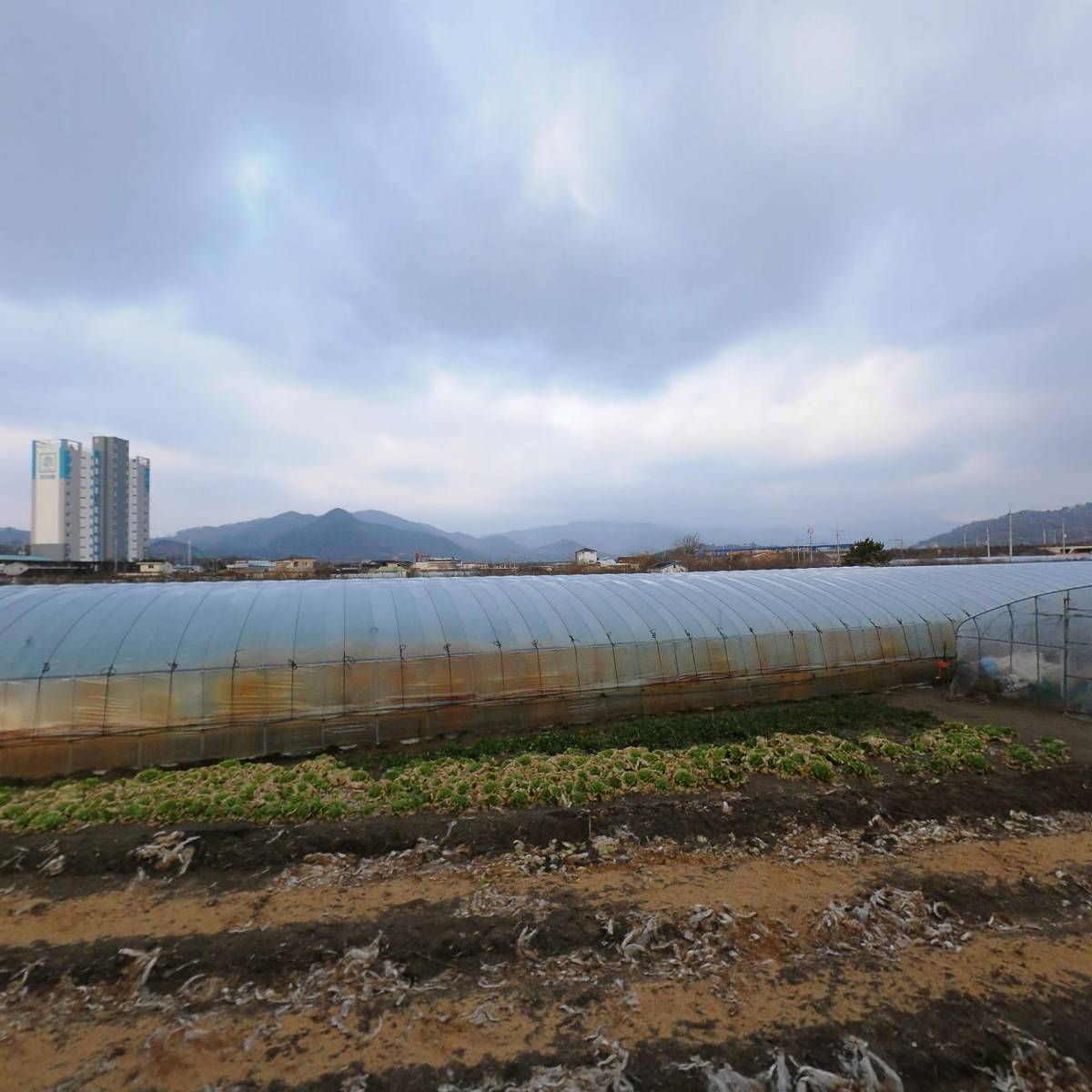 (주)섬진강자연재첩수산_3