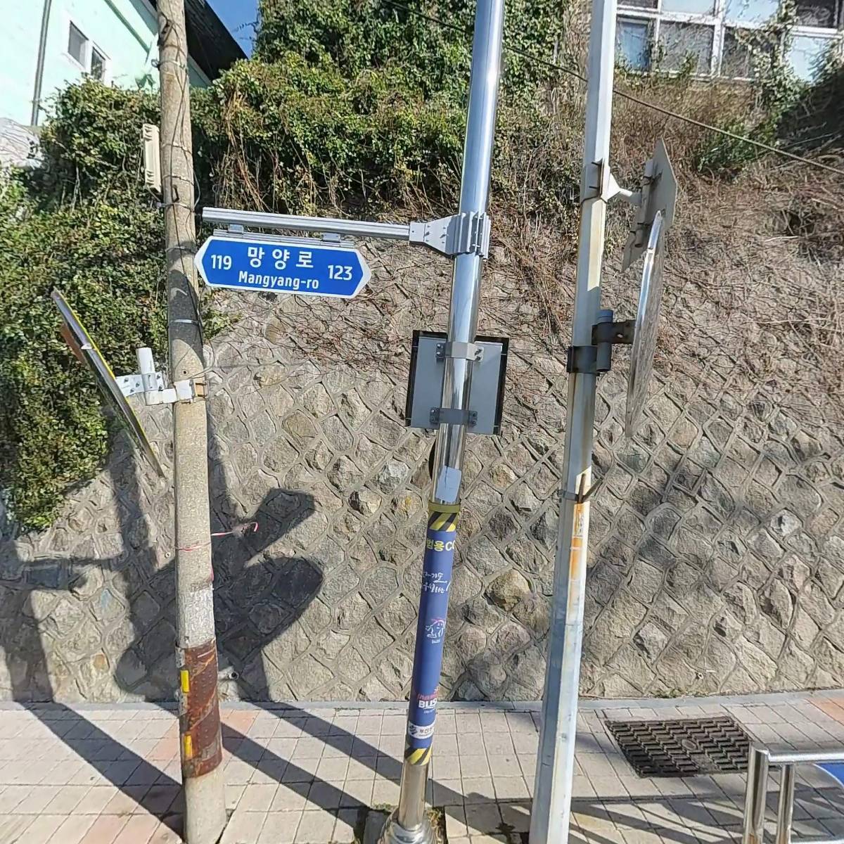 주식회사 블루컴퍼니