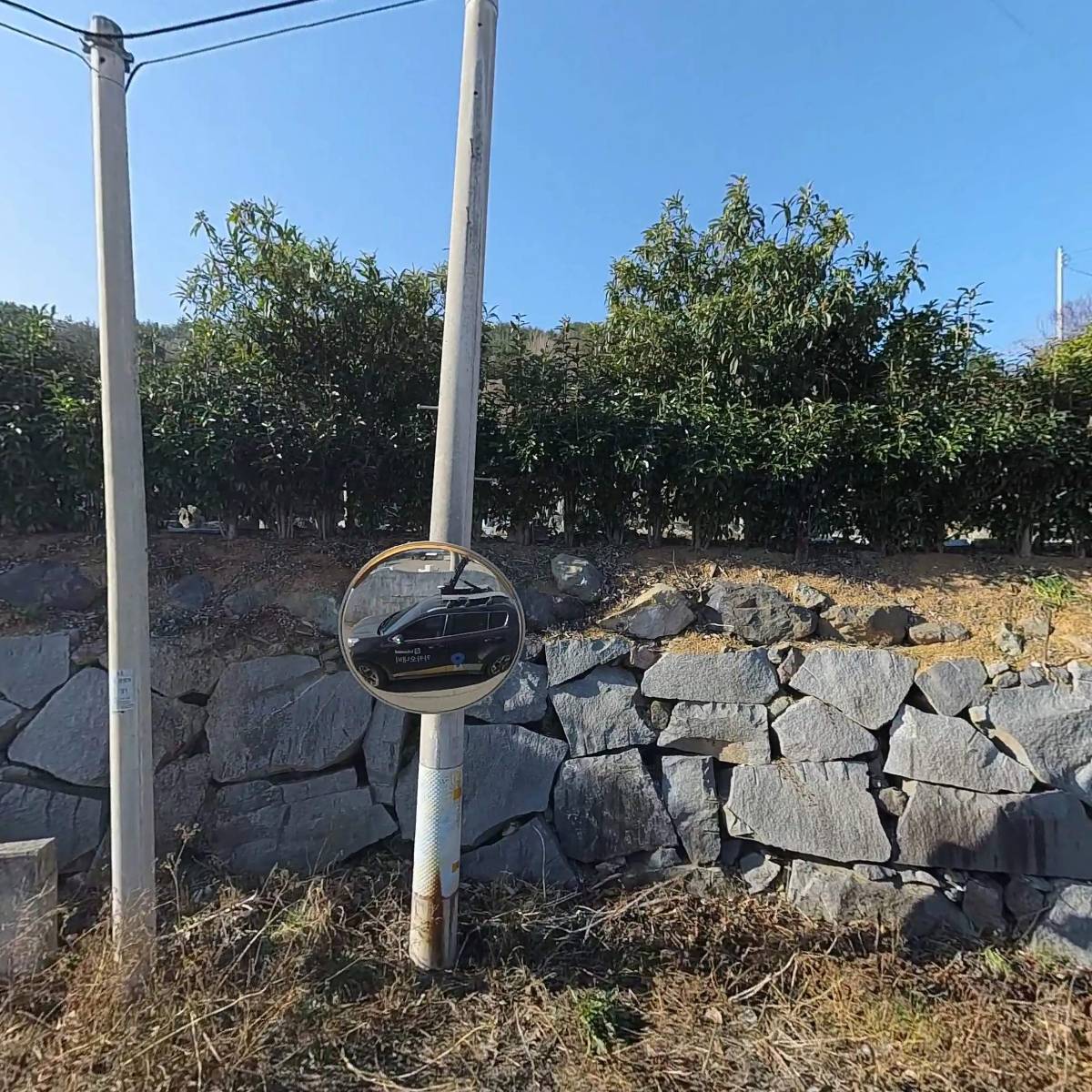 오선수산