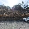 광고프라자_3