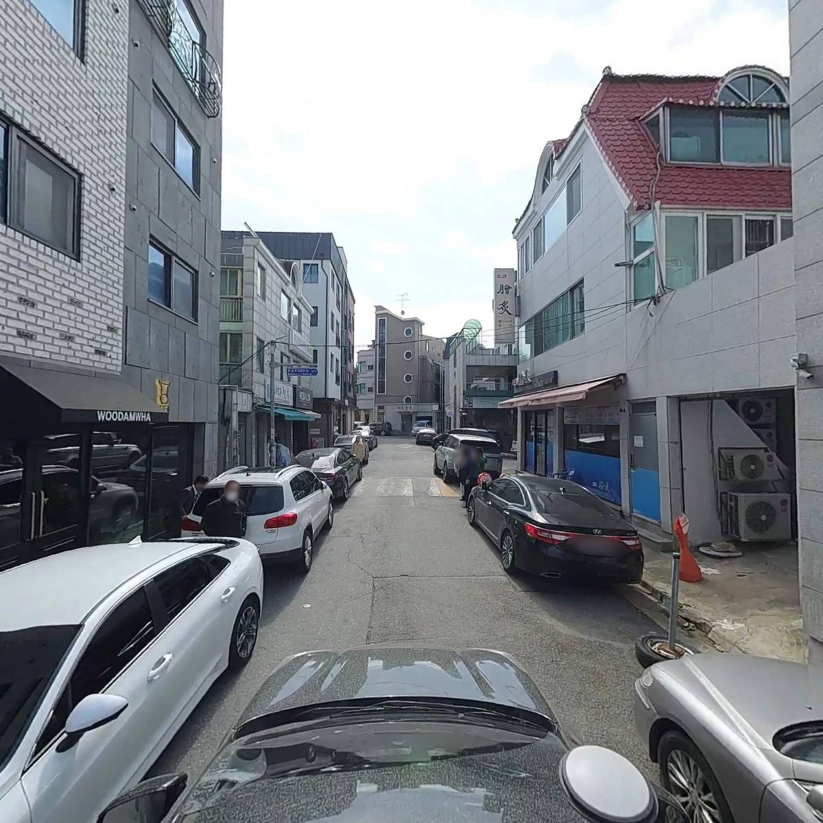 우담화_4
