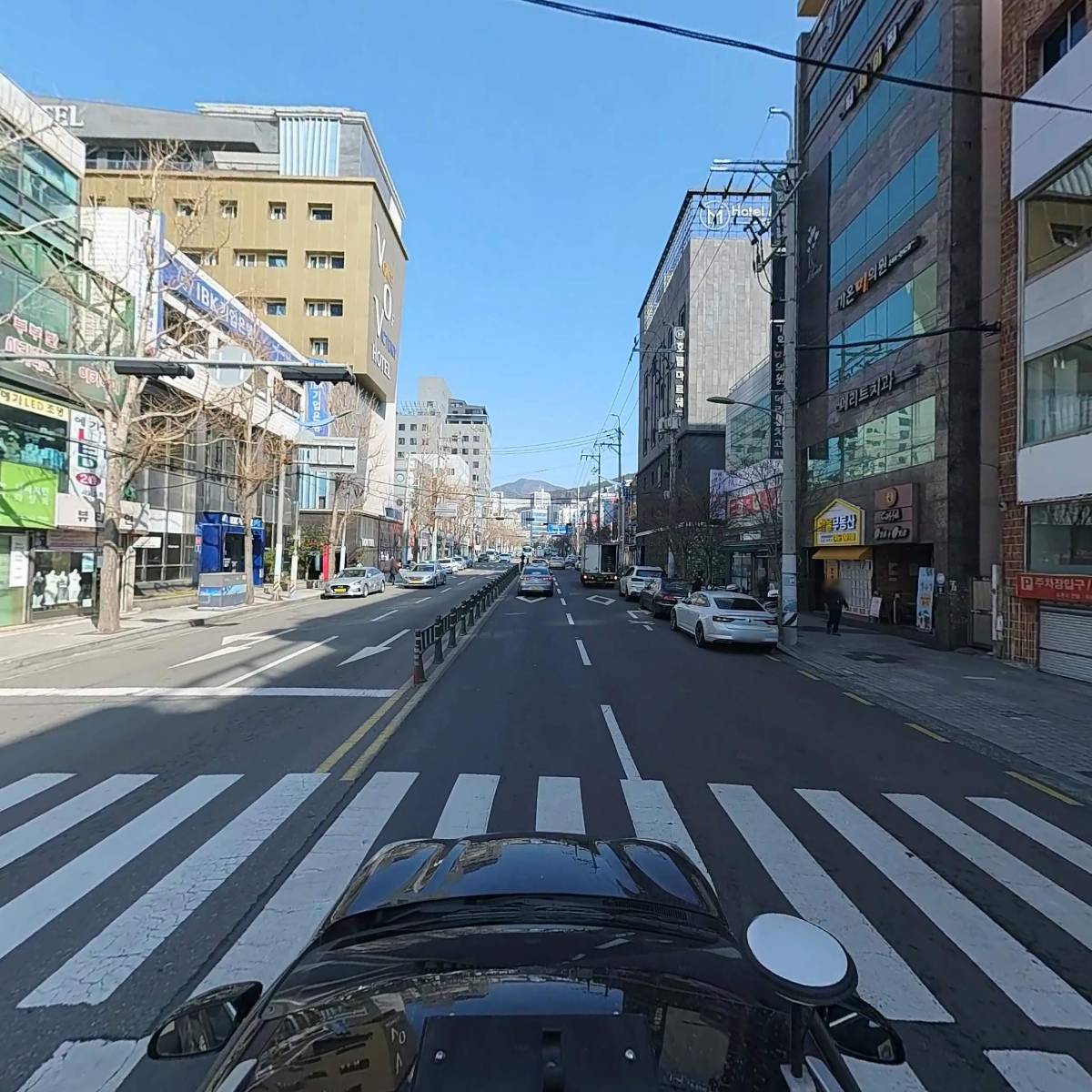 센토_4