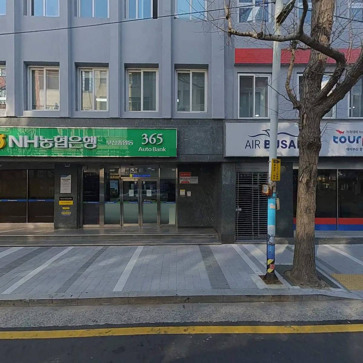 댄싱컵