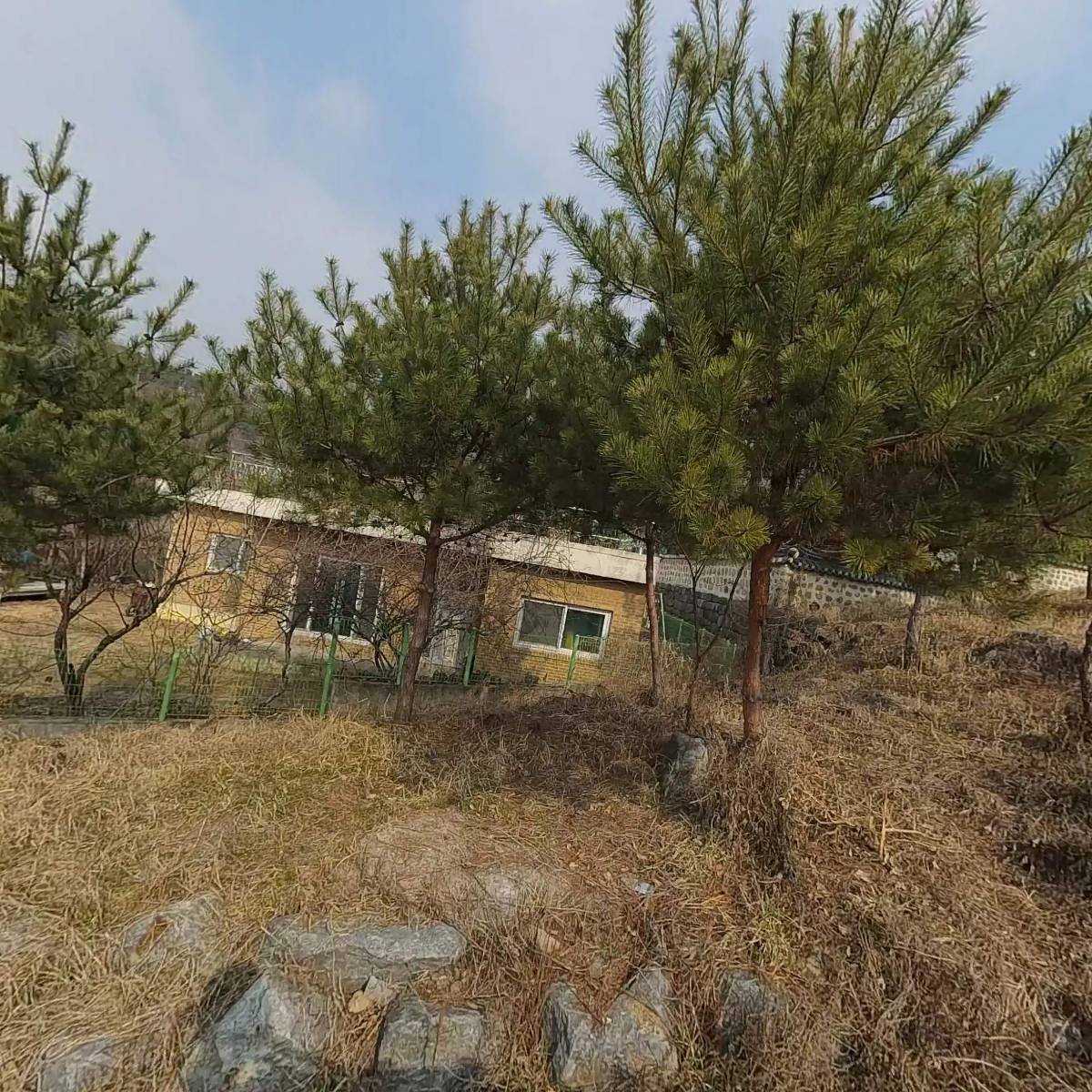 계족돼지_3