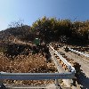 행복한 농원