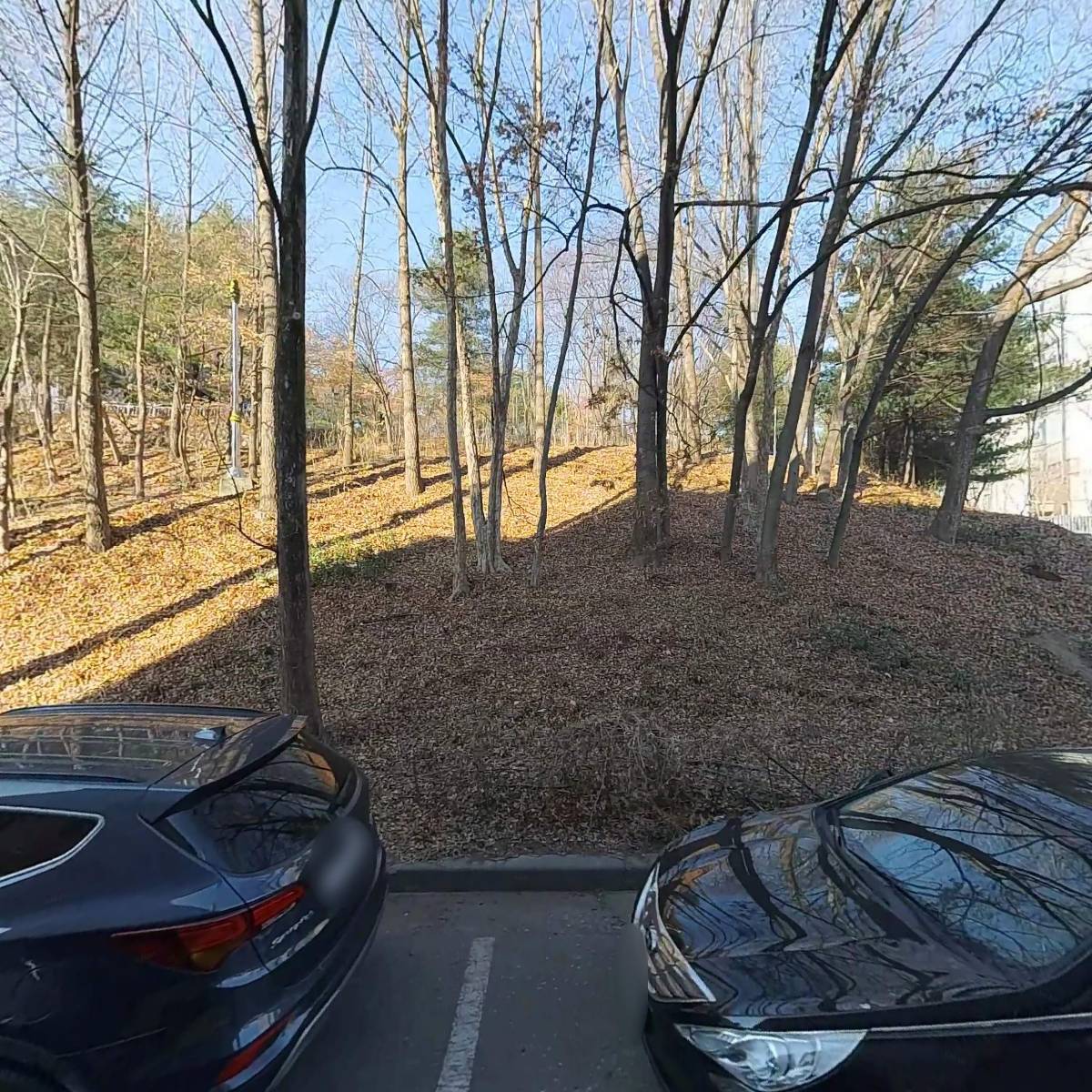 주식회사스타애드