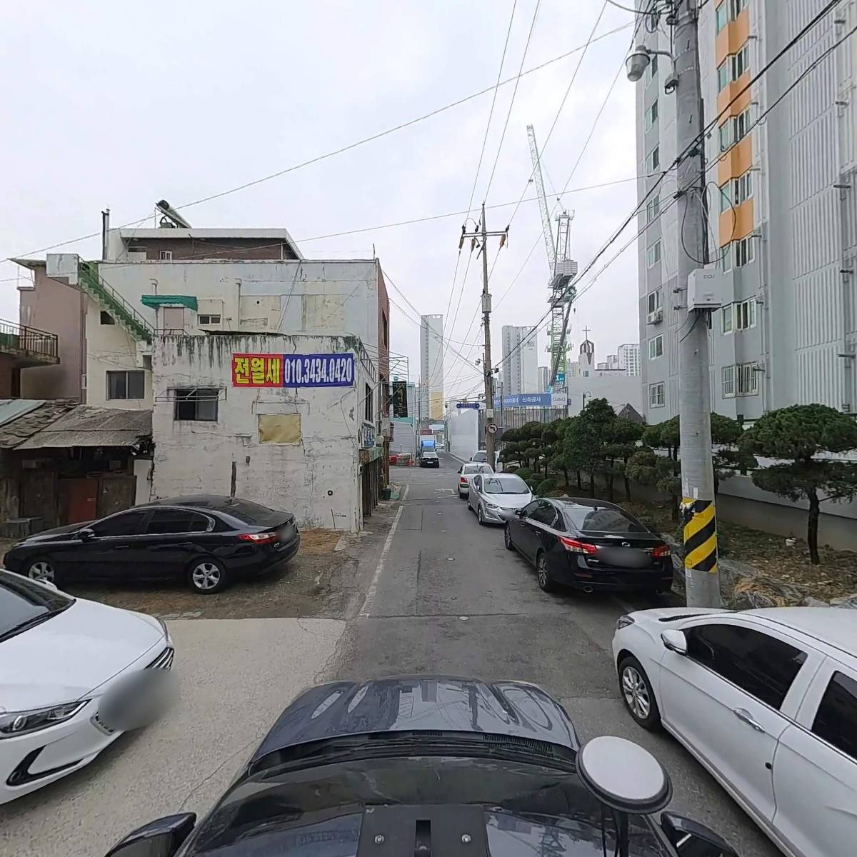 제이드브러쉬_4