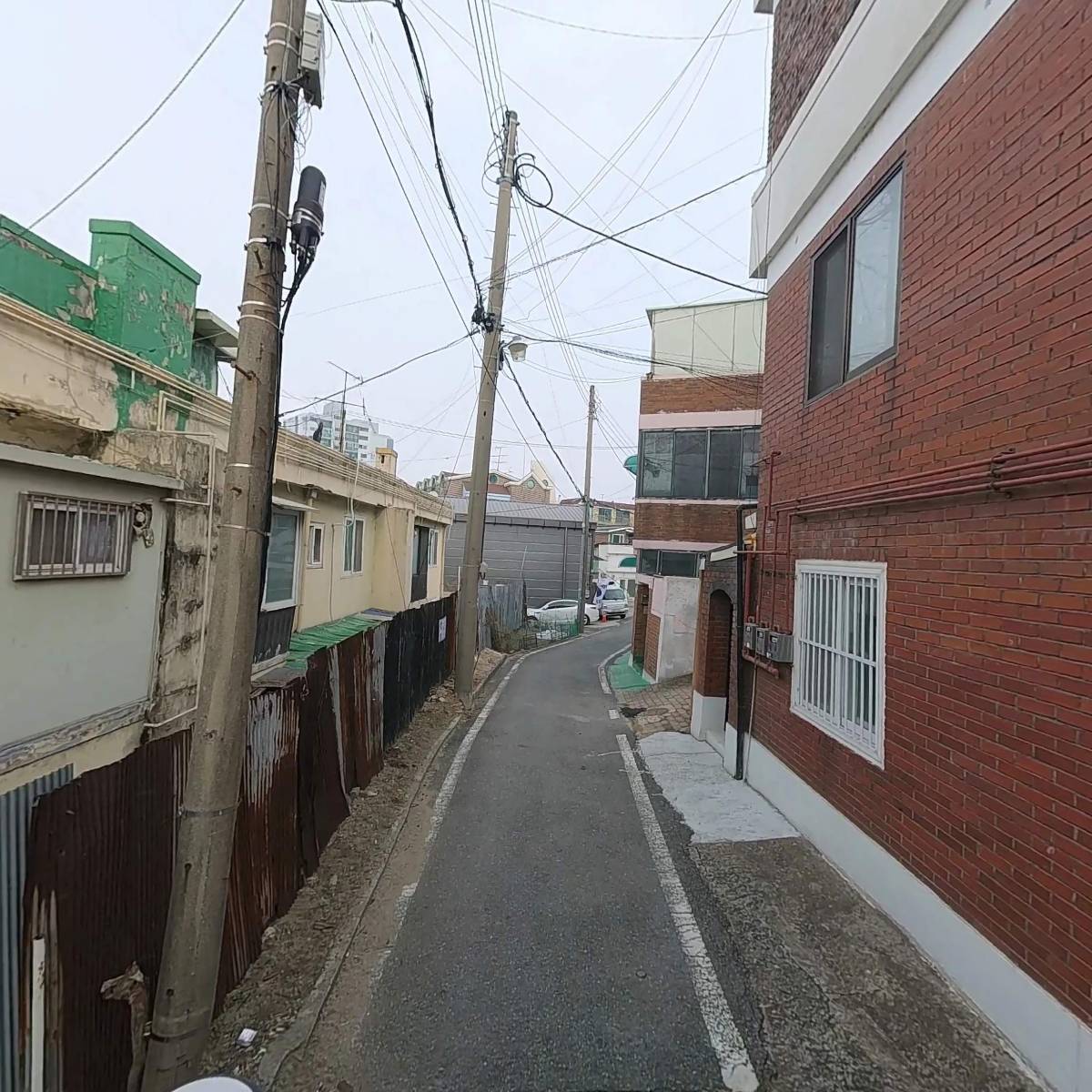 고양이 출판사_2