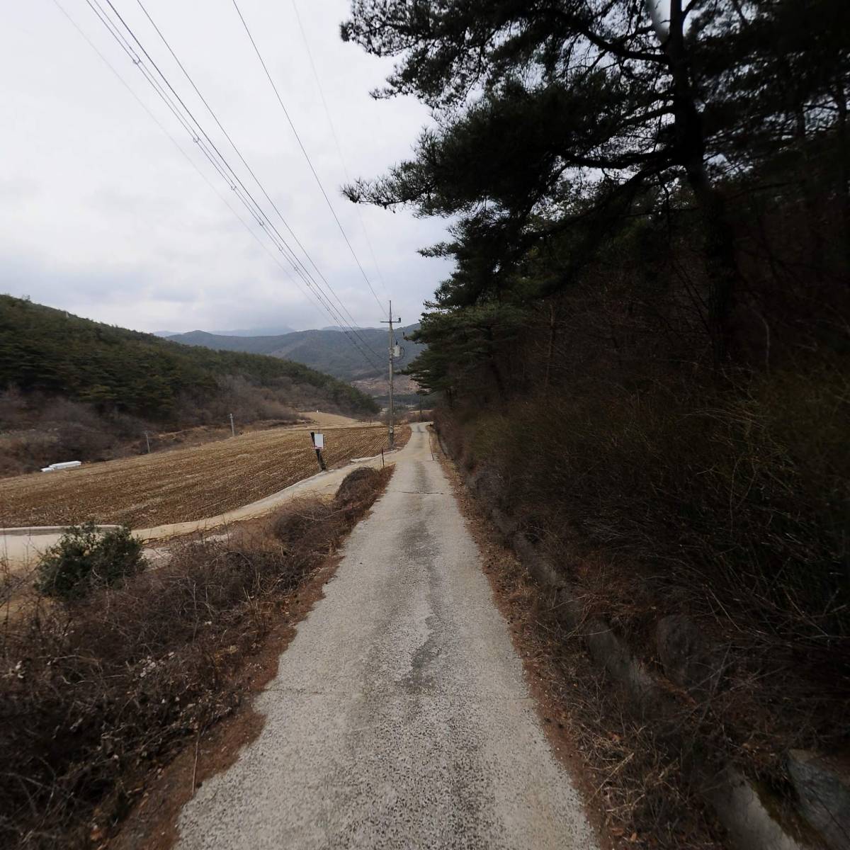 지리산곤충연구소 농업회사법인 유한회사_2