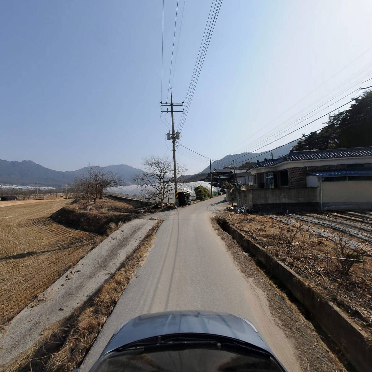 수정벌마야 양봉_4