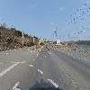 로스티아_2
