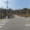 로스티아