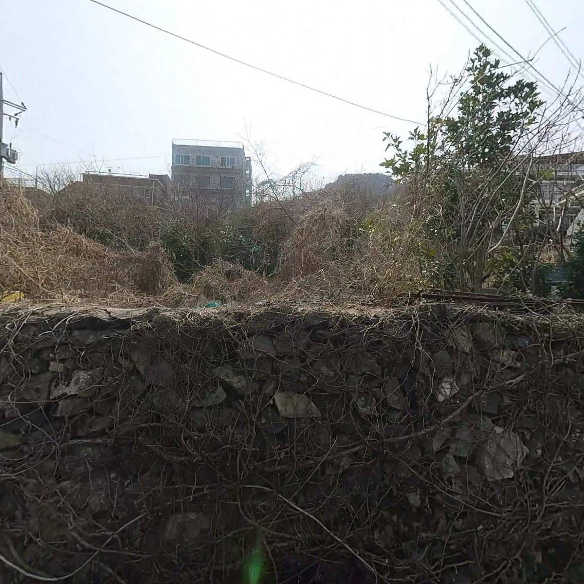 동해수산_3
