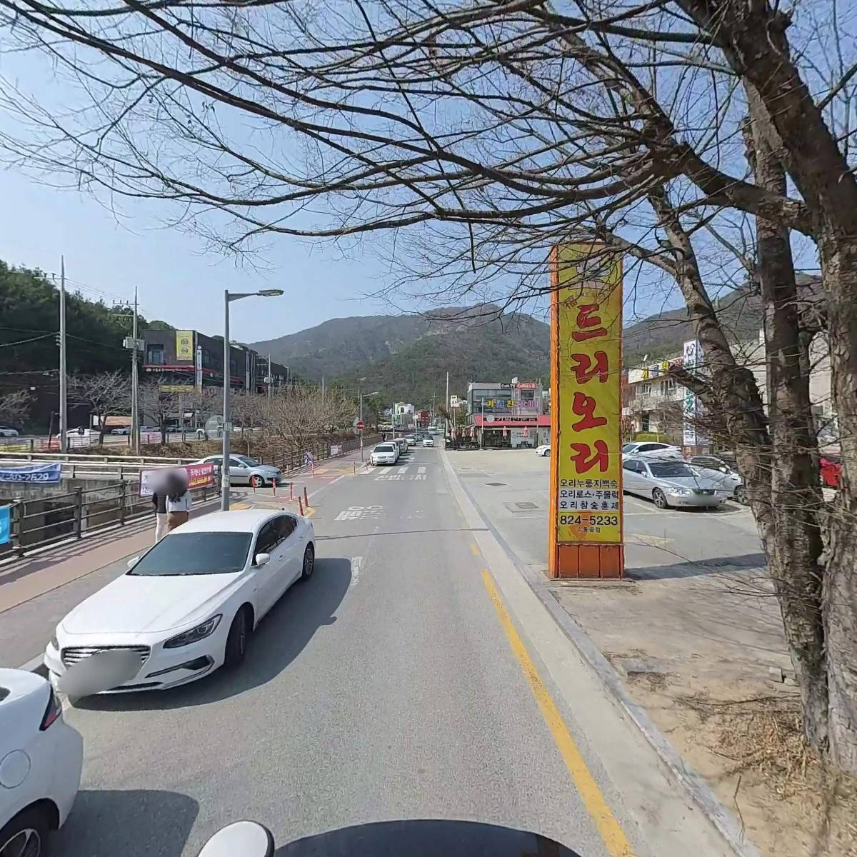 복드리오리_2