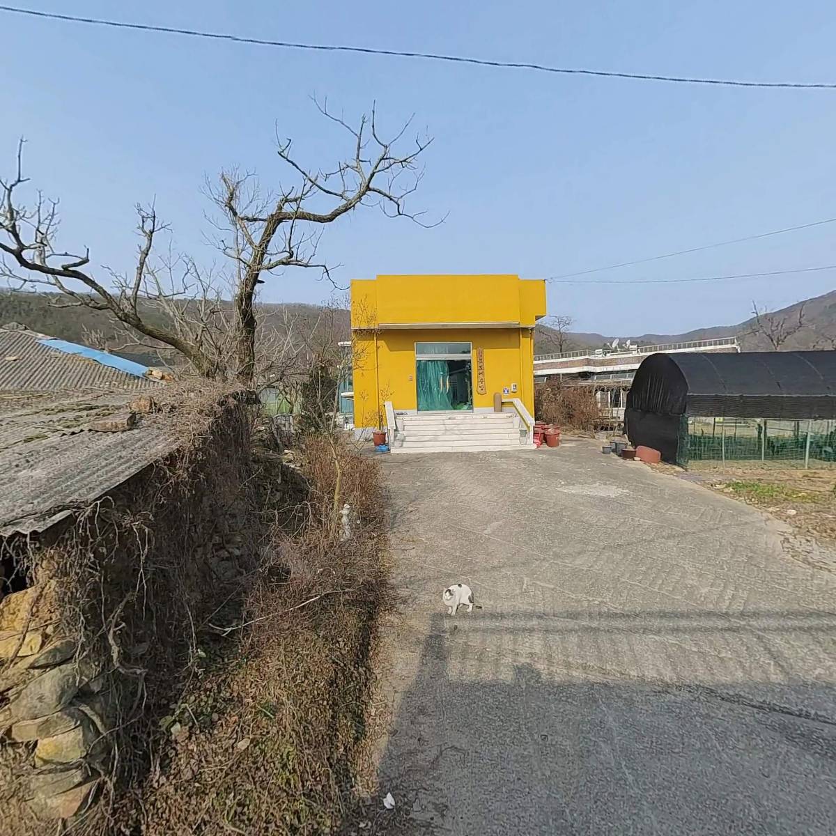 홍보리_3