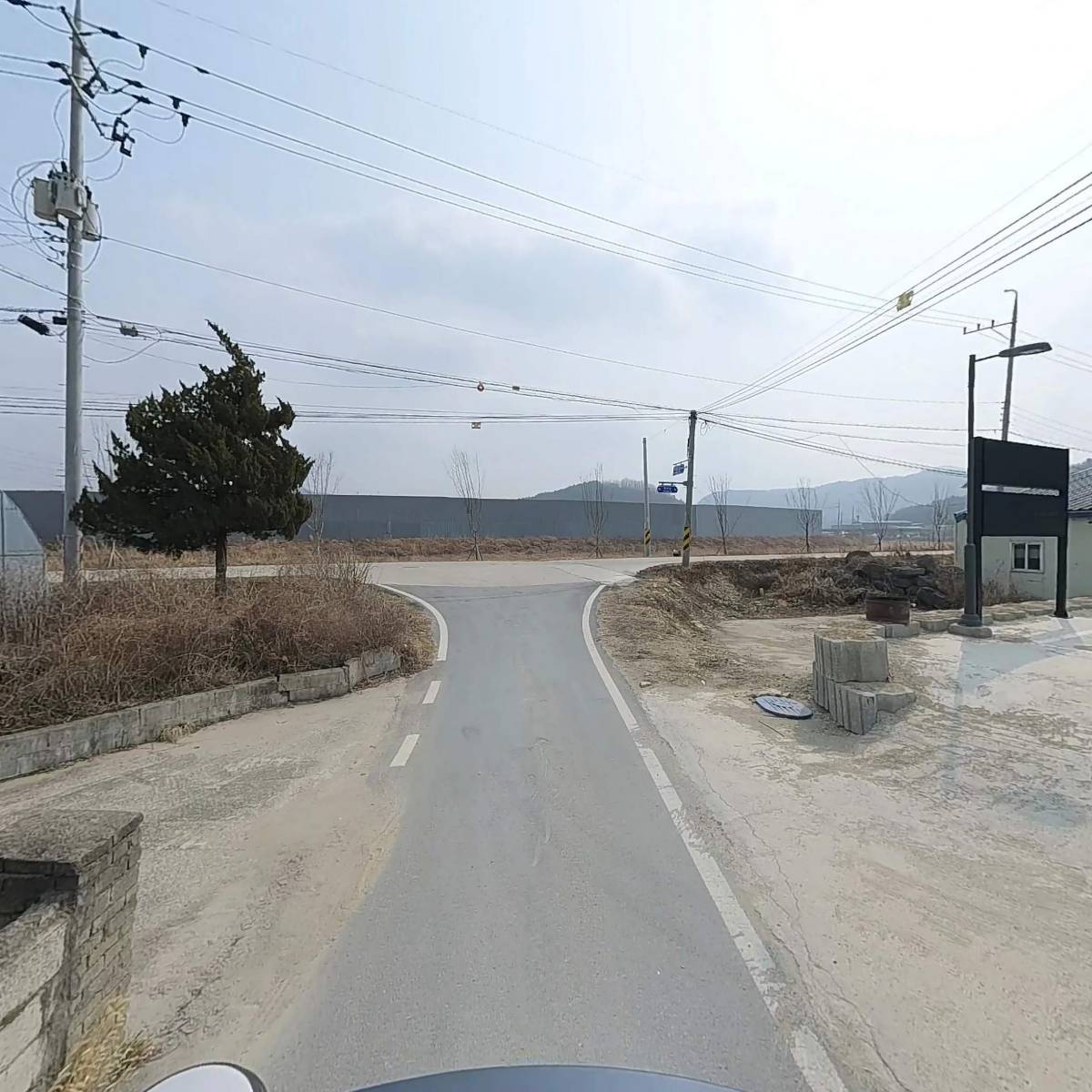 세솔_2
