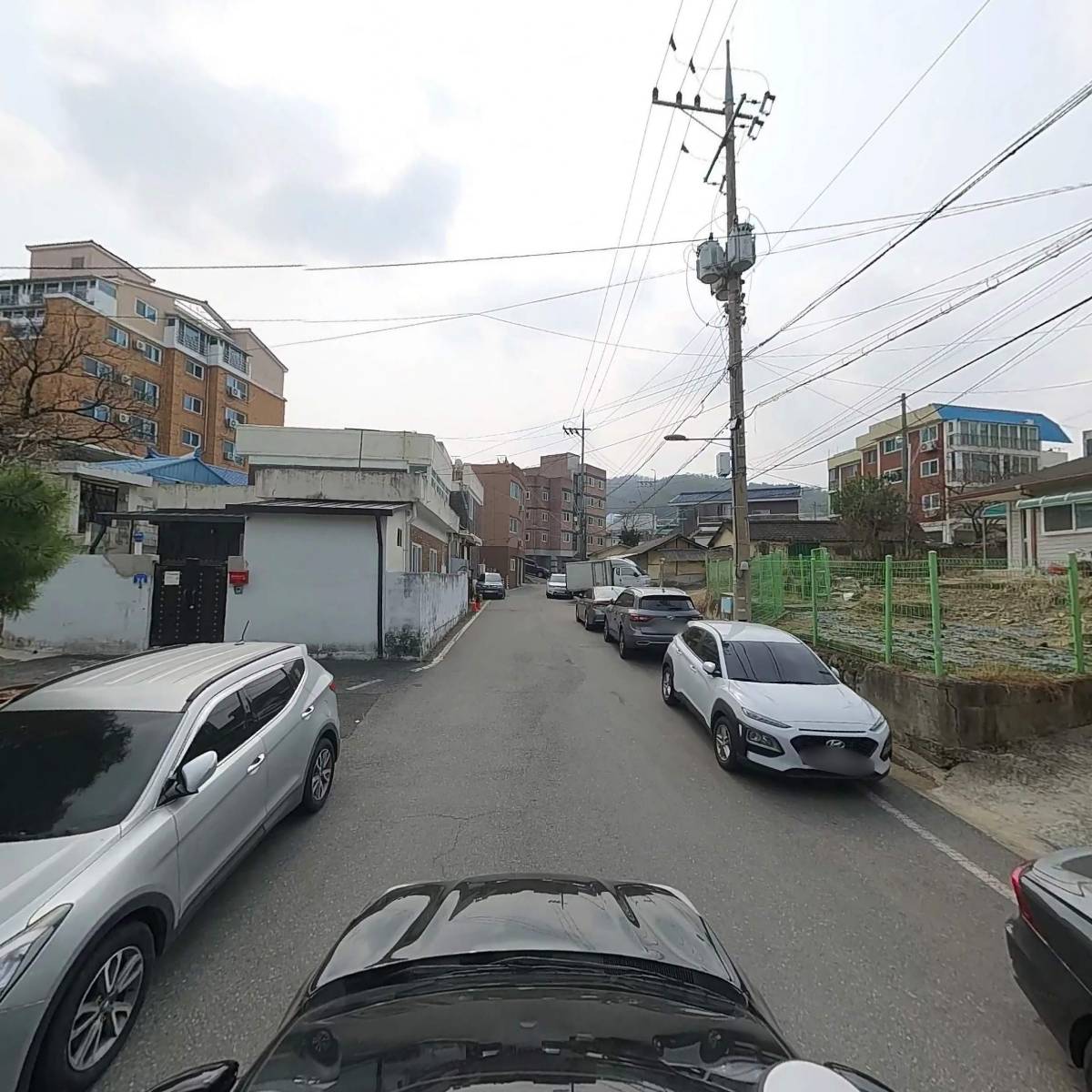 양정숯불생고기_4