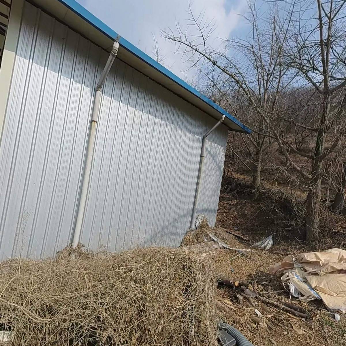 광산김씨총제공파충주가주종중