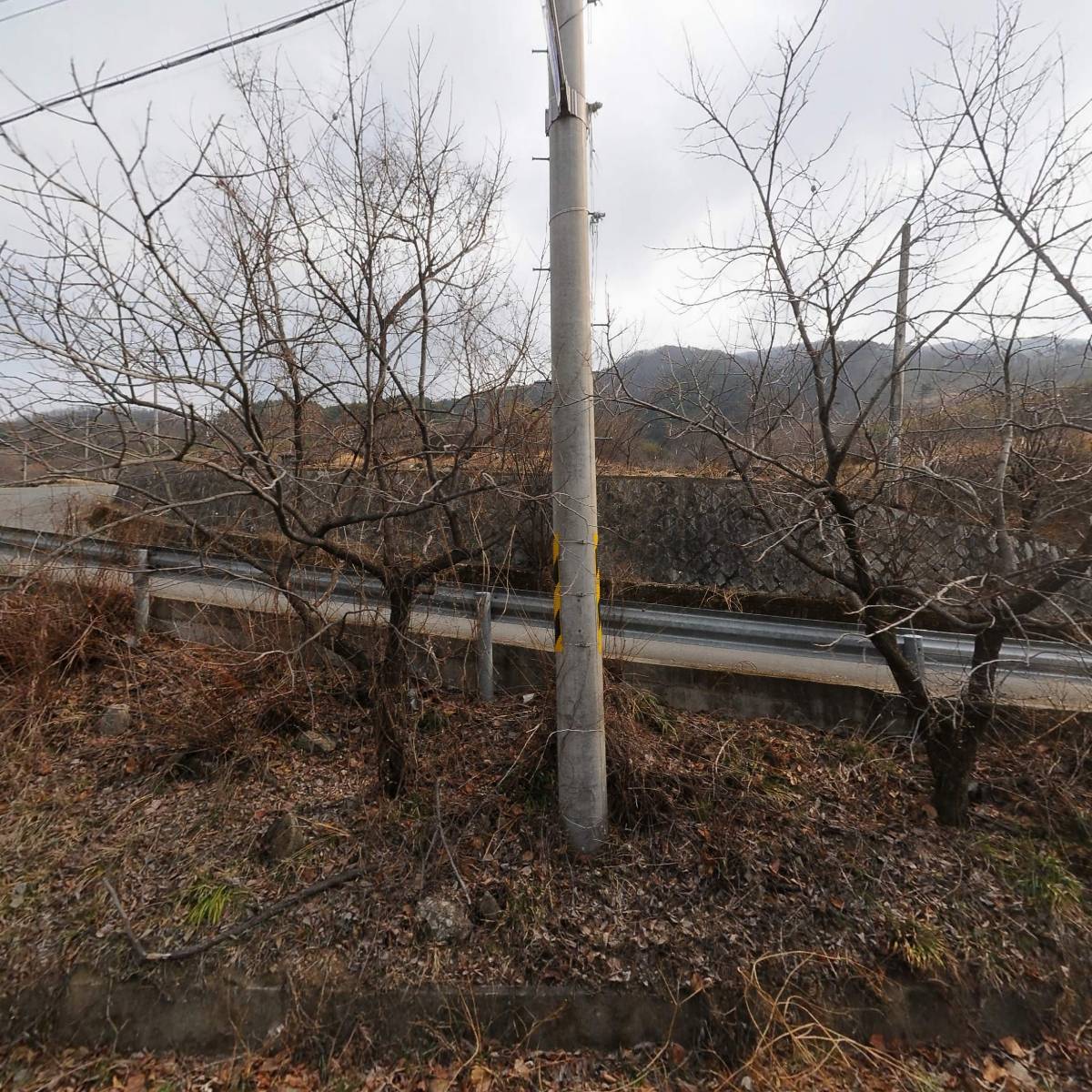 지리산 산청 시골농장