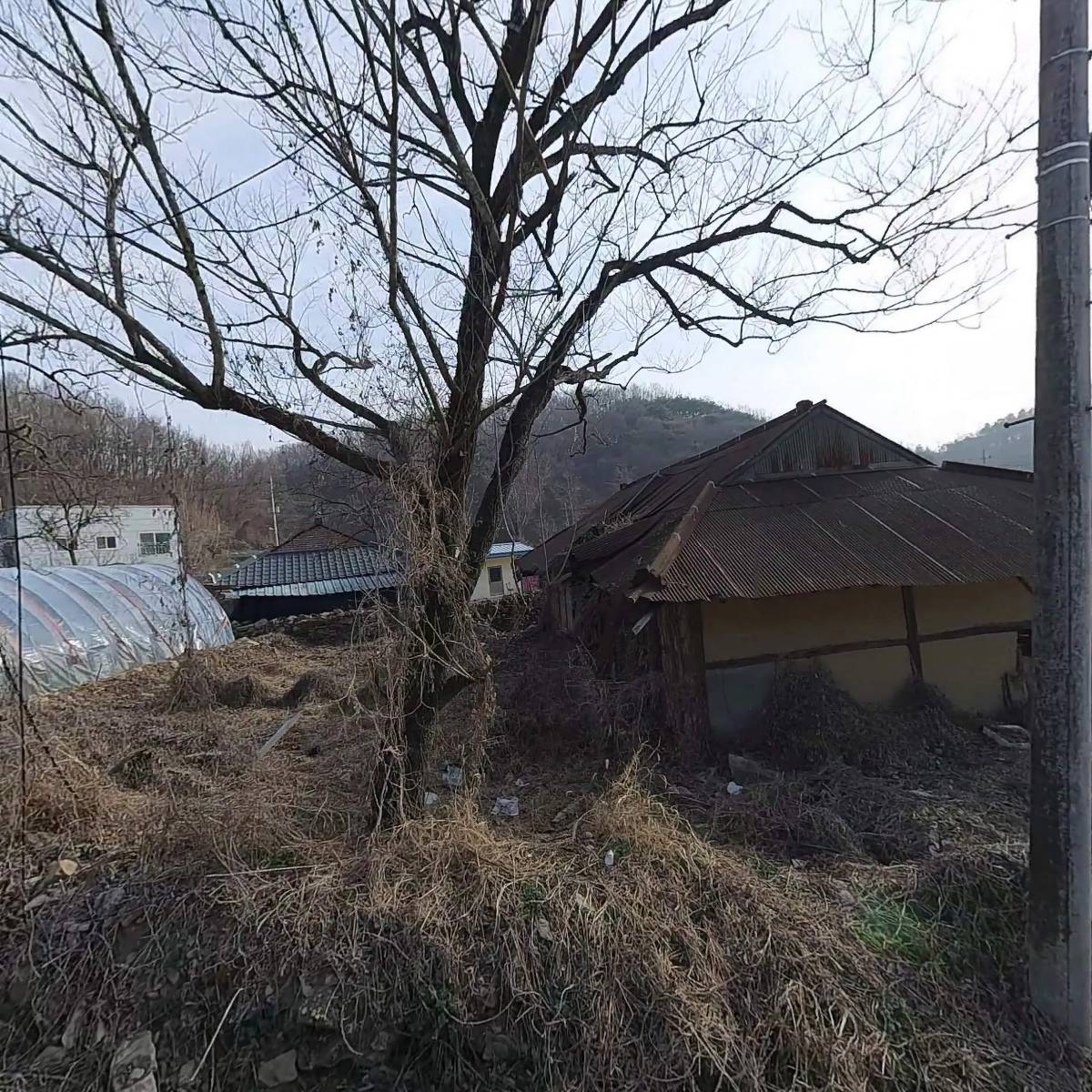 나무나라 주식회사