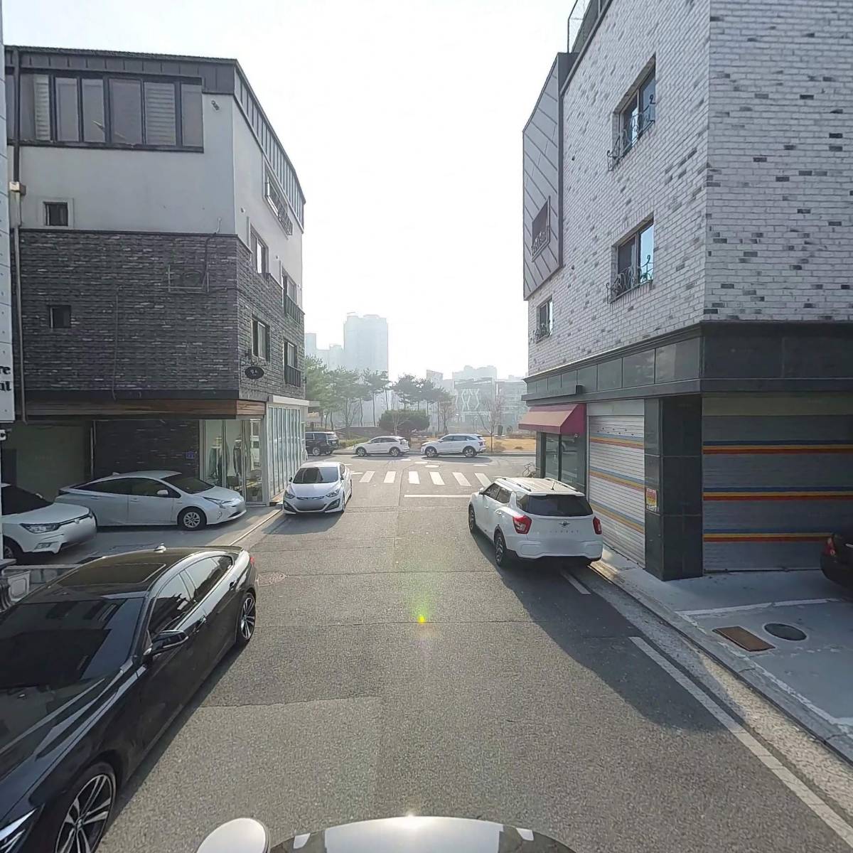 막시모(Maximo)_2