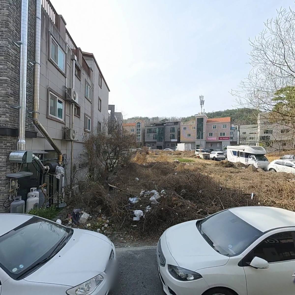 토리스타 특별한커피(도안점)_3