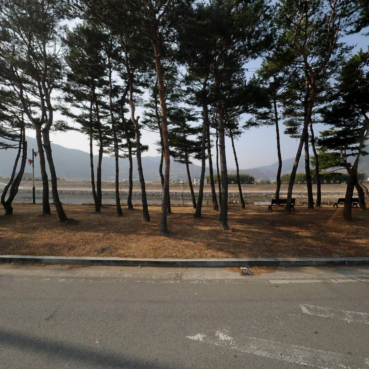 김영희강남동태찜_3