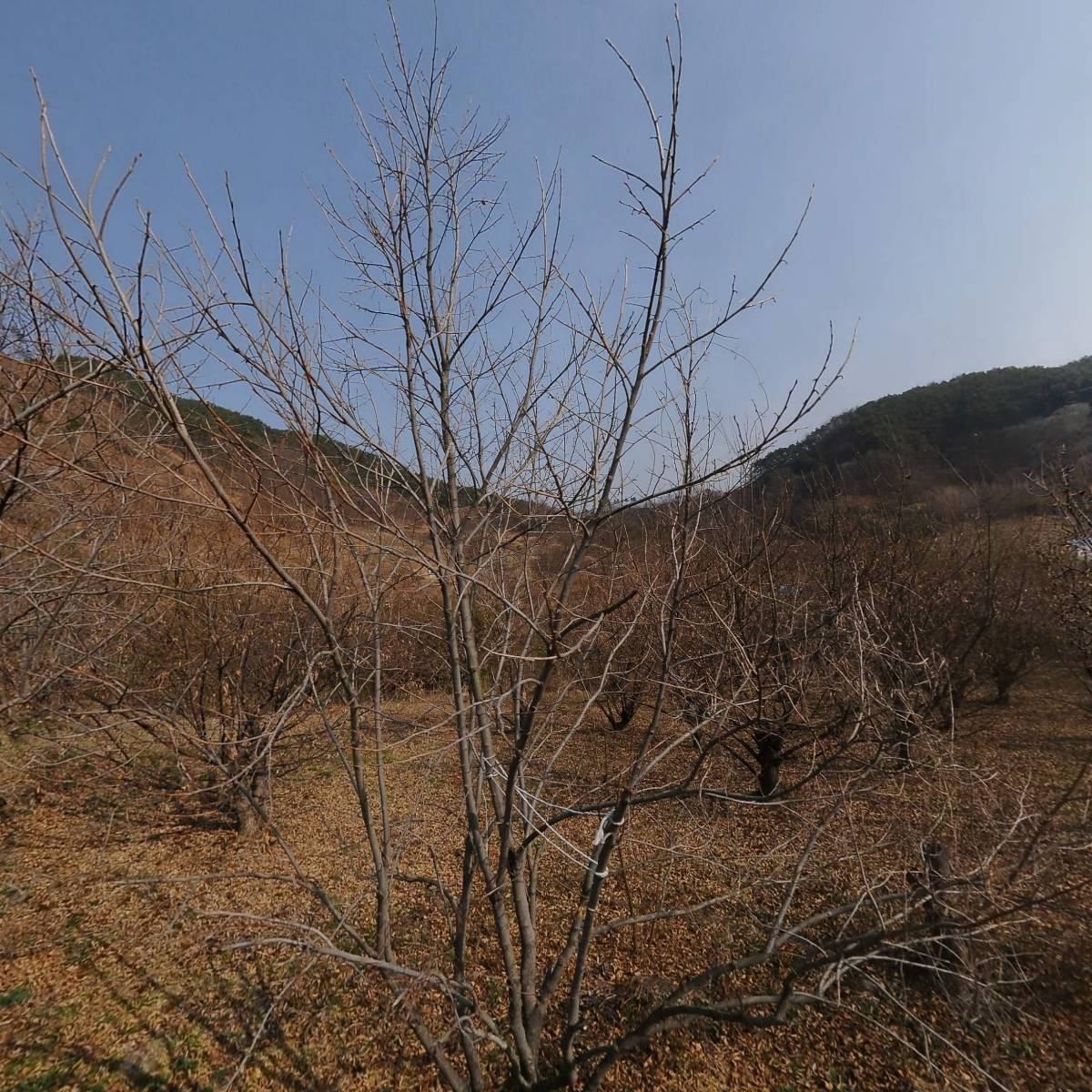 지리산둥글레마을 영농조합법인
