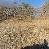 (주)금영