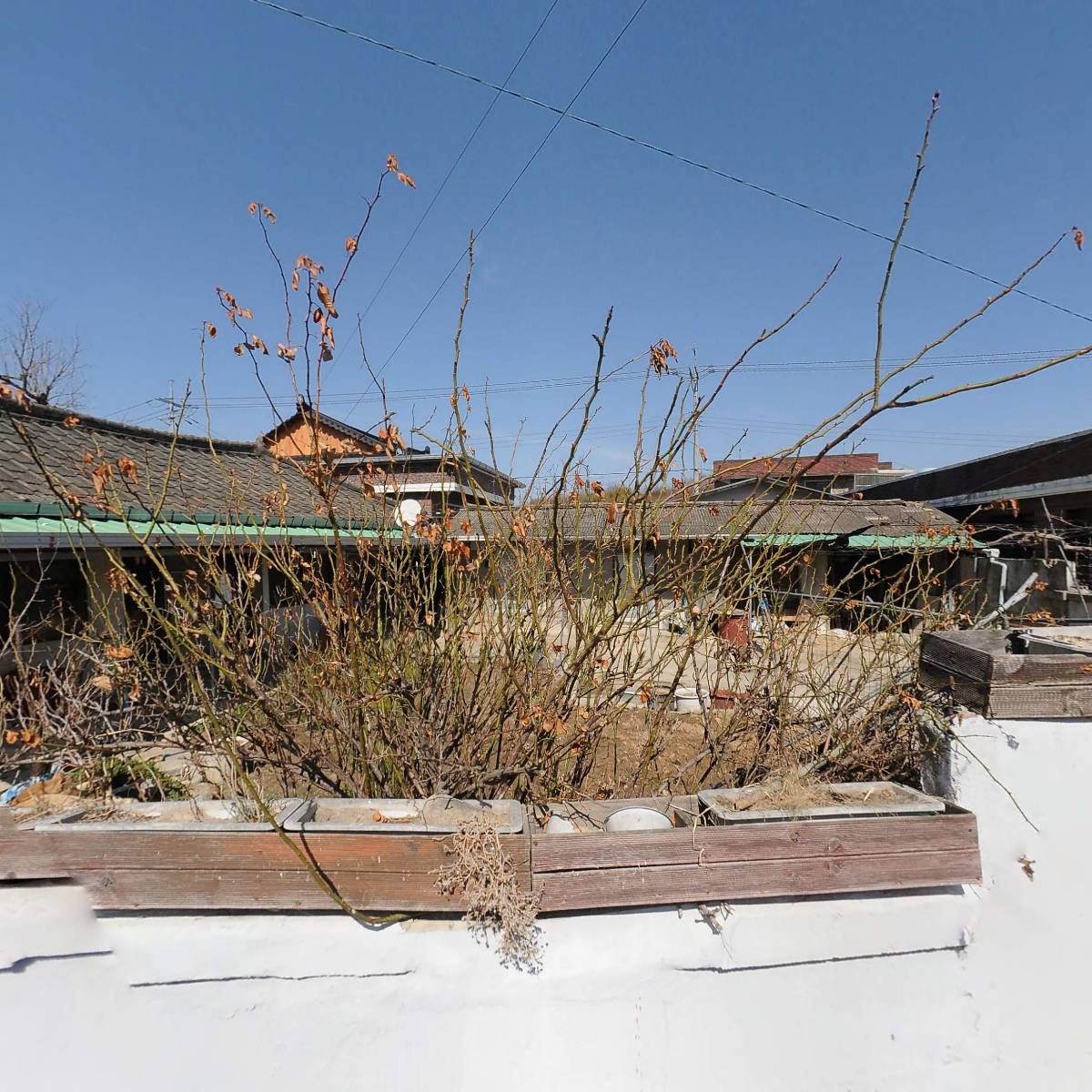띠엔다 서울(Tienda Seul)