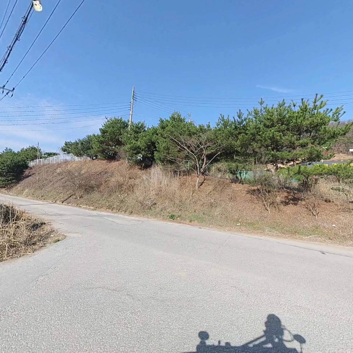 （주） 탐란코리아