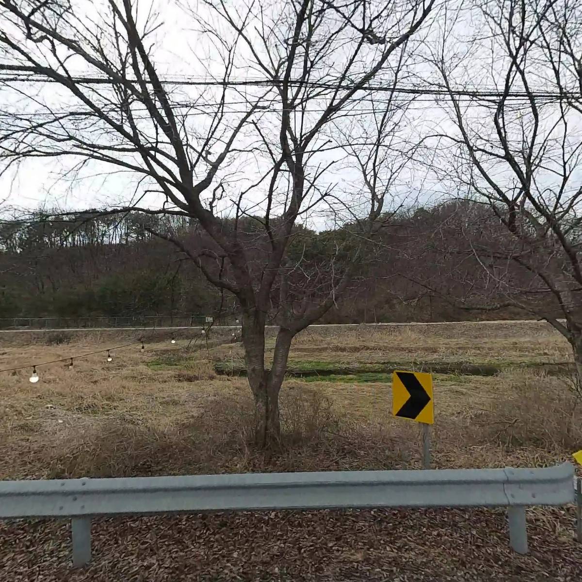 에브리선데이 커피