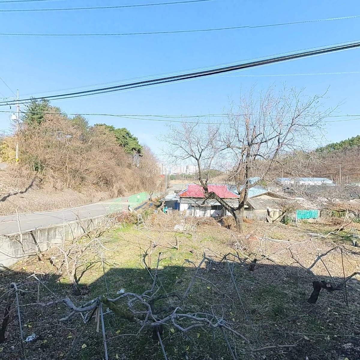 전주이씨 의안대군 청원군파종중_3