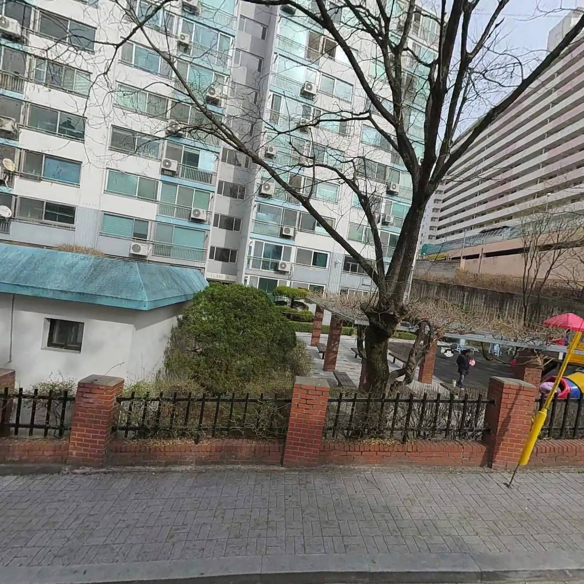 윤이나(인셀덤)