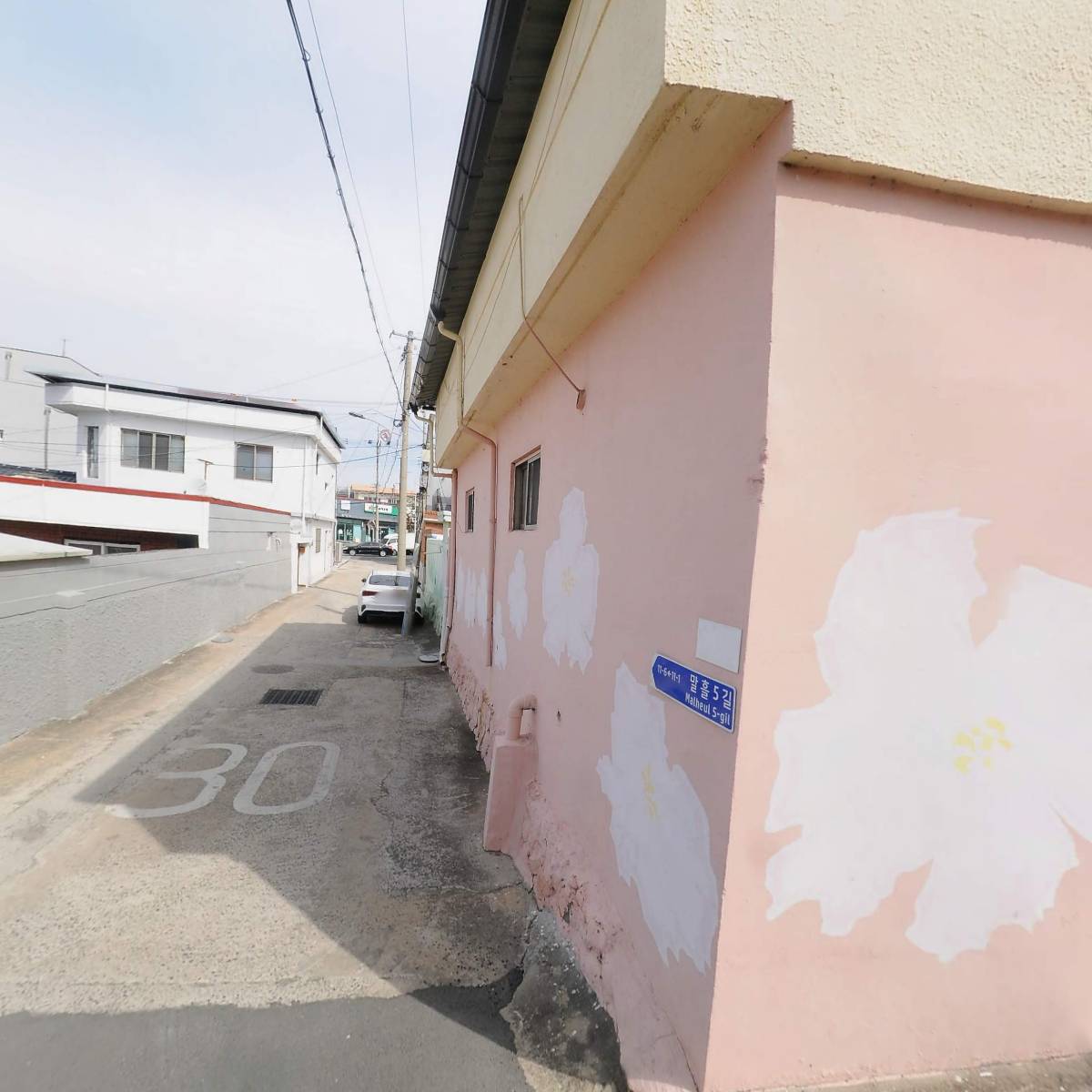 창녕초등학교총동문회_3