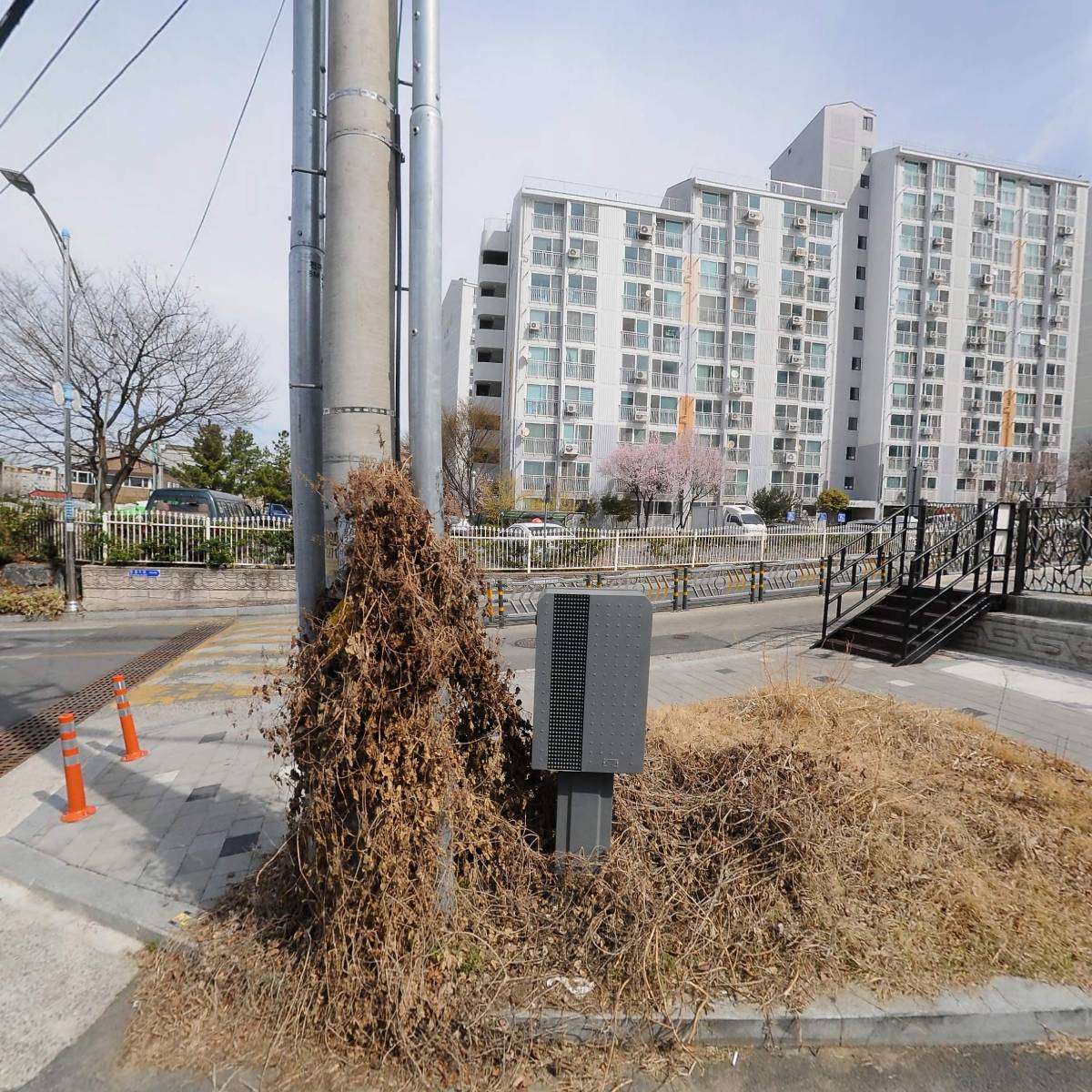 창녕중학교_3