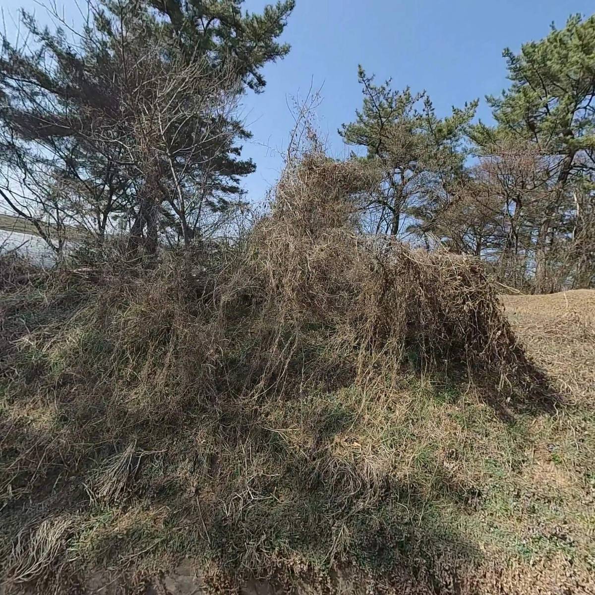 피크피싱_3