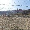 이스턴알파